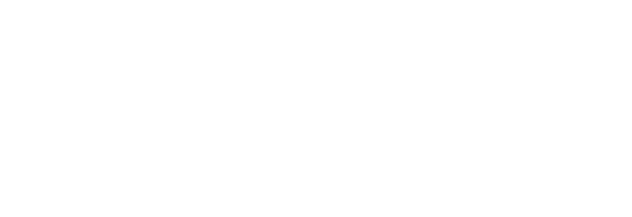 American Luxury Five Star Limousine